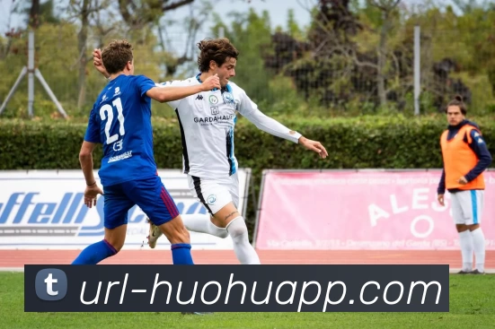 数据分析功能
