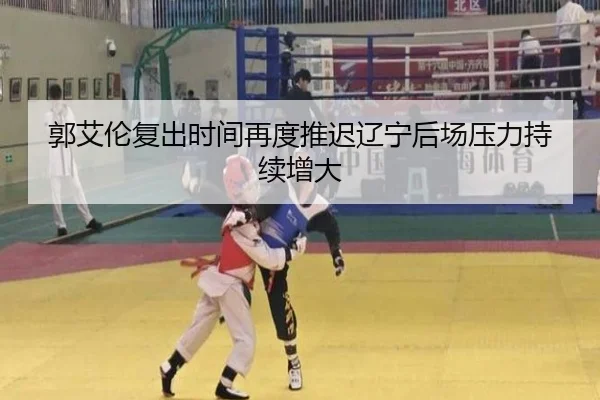 郭艾伦复出时间再度推迟辽宁后场压力持续增大 - HuoHu